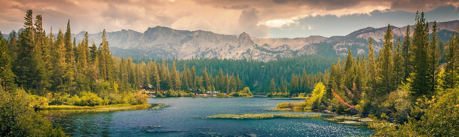 Cunningham A Abigail